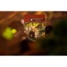 Ziemia - gra planszowa Lucky Duck Games